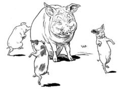 The Three Little Pigs